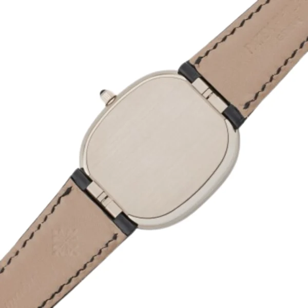 Patek philippe rare hand crafts 573850G-042